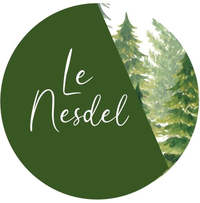 Le Nesdel Appartement Gérardmer Buitenkant foto
